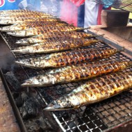 topsanma5